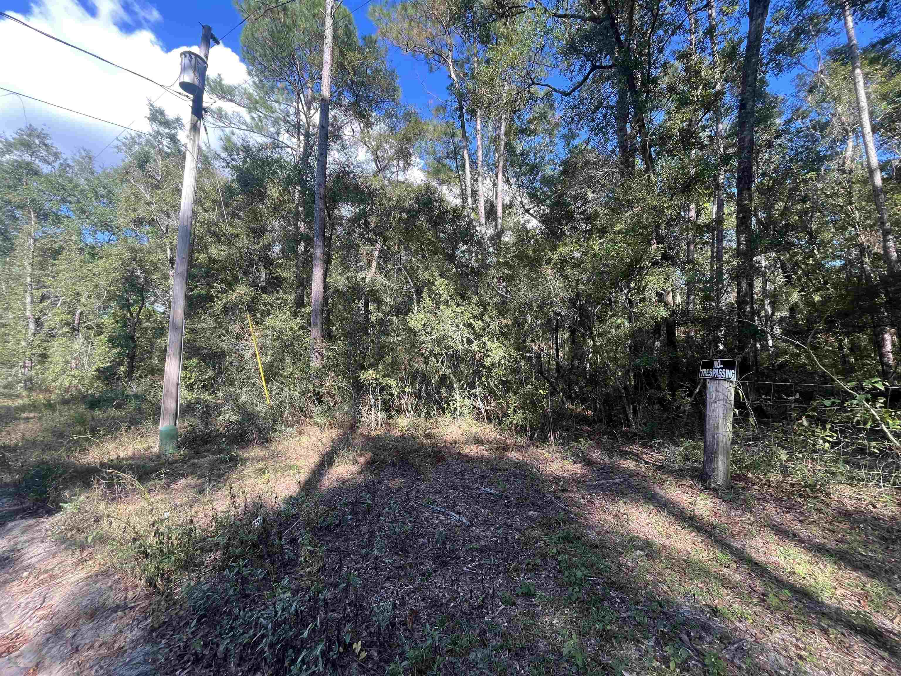 13 Rutland Road Crawfordville, FL 32327 - Photo 5 of 9 Gallery Image 5