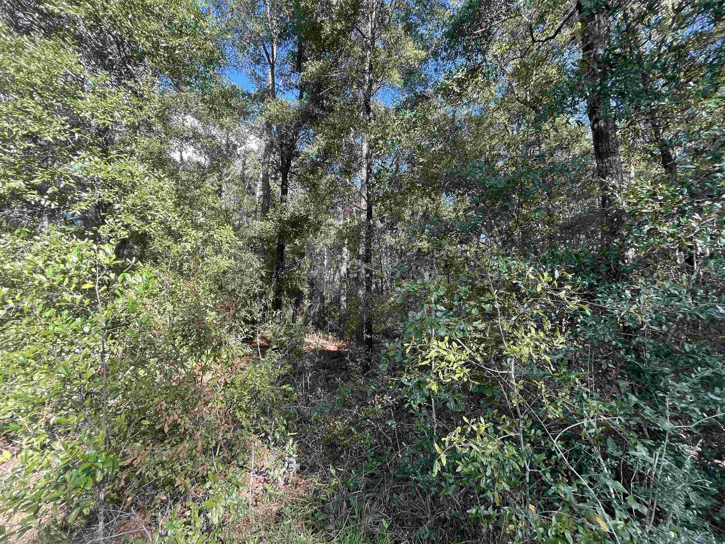 13 Rutland Road Crawfordville, FL 32327 - Photo 6 of 9 Gallery Image 6