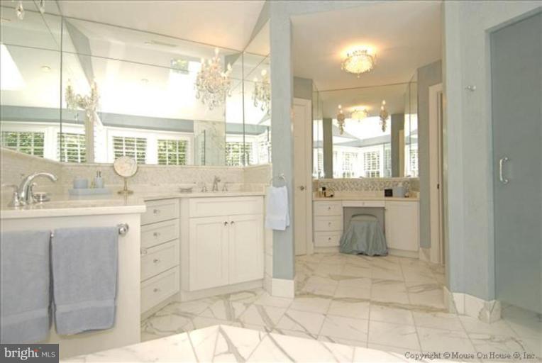 11251 Center Harbor Road Reston, VA 20194 - Photo 13 of 30 Master Bath #2