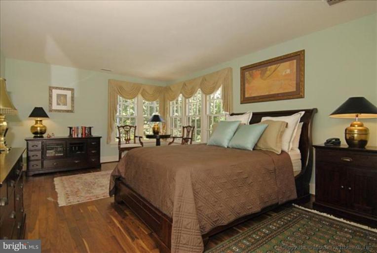 11251 Center Harbor Road Reston, VA 20194 - Photo 14 of 30 Bedroom #2