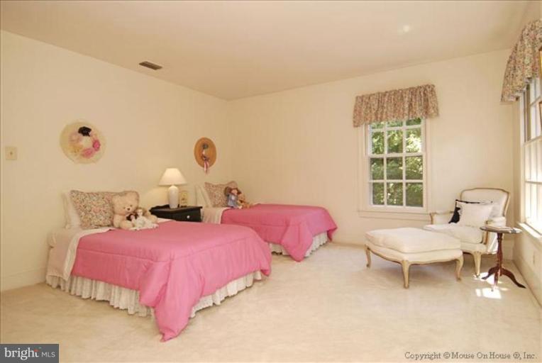 11251 Center Harbor Road Reston, VA 20194 - Photo 16 of 30 Bedroom #4