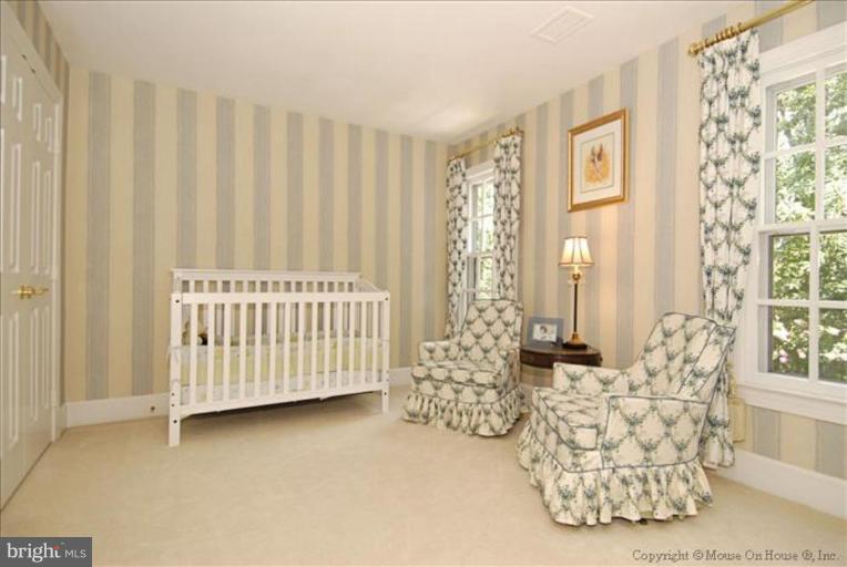 11251 Center Harbor Road Reston, VA 20194 - Photo 17 of 30 Bedroom #5