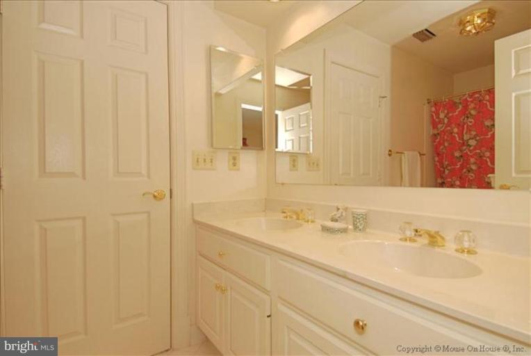 11251 Center Harbor Road Reston, VA 20194 - Photo 20 of 30 Jack-n-Jill Bath with Entry from BR#3 & from Hall