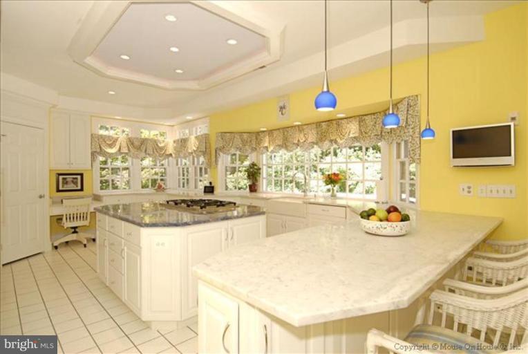 11251 Center Harbor Road Reston, VA 20194 - Photo 3 of 30 Kitchen