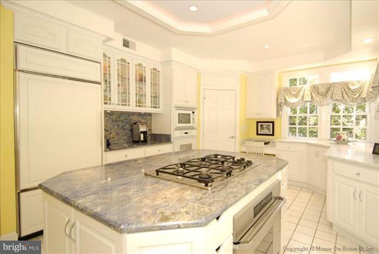 11251 Center Harbor Road Reston, VA 20194 - Photo 4 of 30 Kitchen #2
