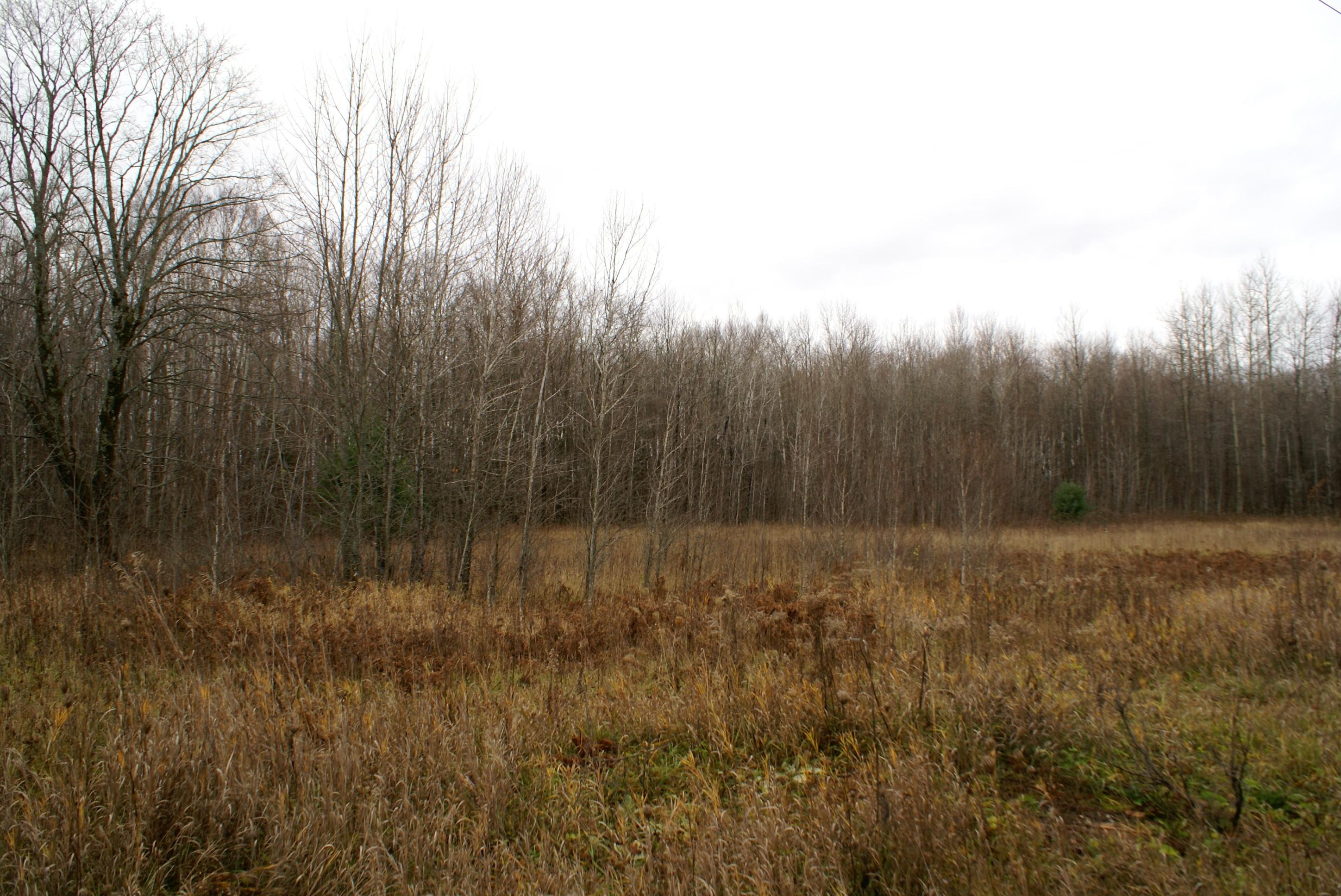 100-ac Saint Ignace Road Hessel, MI 49745 - Photo 6 of 8 Gallery Image 6