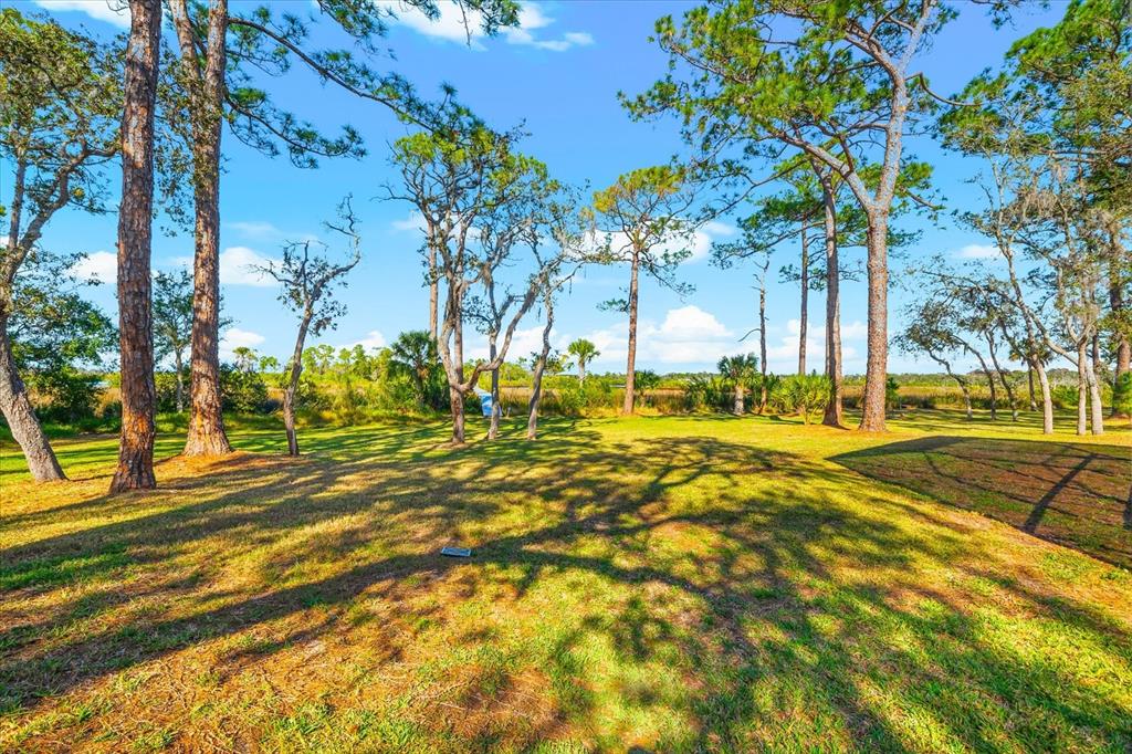 1044 Riverside Ridge Road Tarpon Springs, FL 34688 - Photo 56 of 77 a view of yard with swimming pool