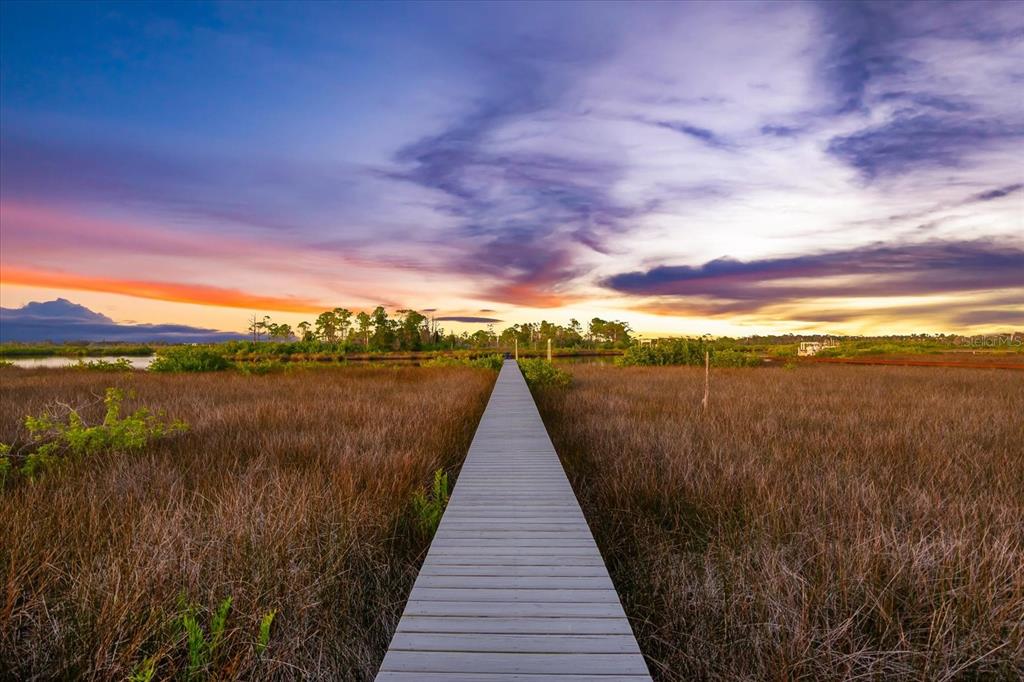 1044 Riverside Ridge Road Tarpon Springs, FL 34688 - Photo 69 of 77 a view of a lake with a yard