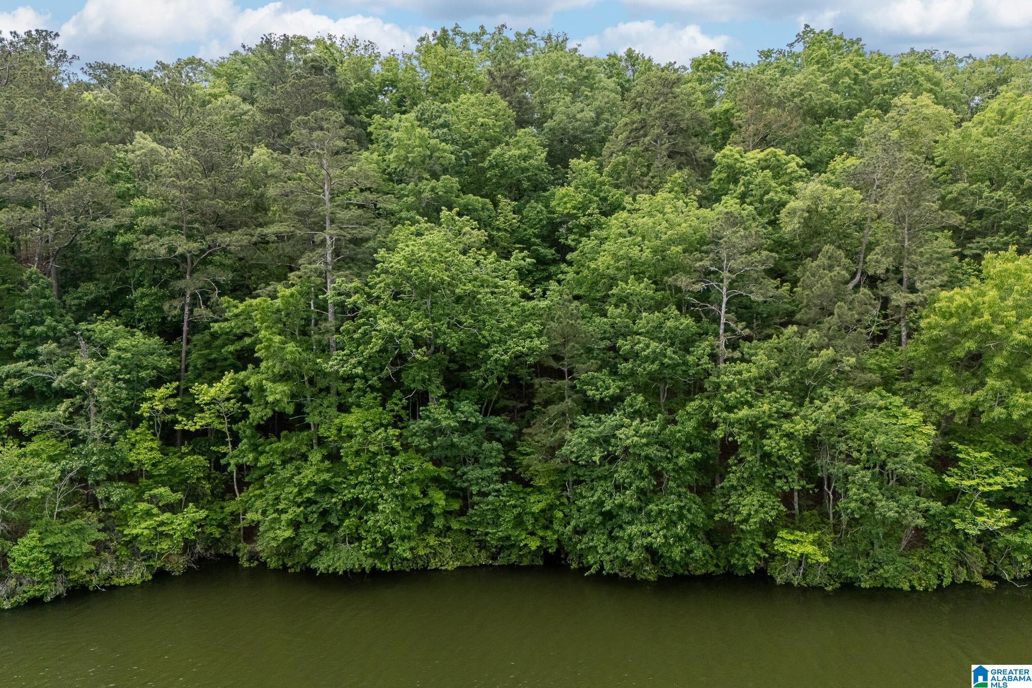 2317 Waldrop Road, Unit 4 AND 5 Ashville, AL 35953 - Photo 7 of 38