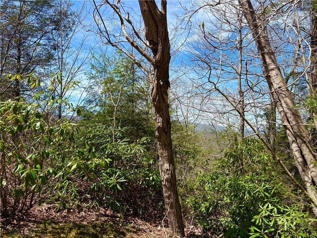 Lot #19 Evergreen Boone, NC 28607 - Photo 2 of 9