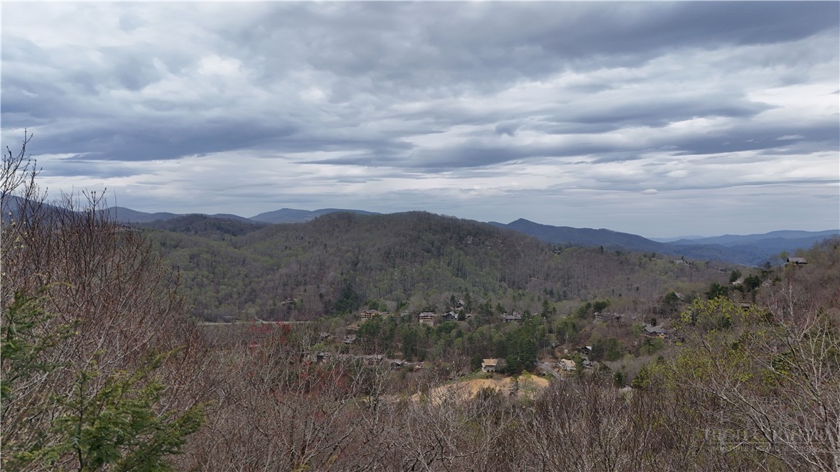 Lot #19 Evergreen Boone, NC 28607 - Photo 6 of 9