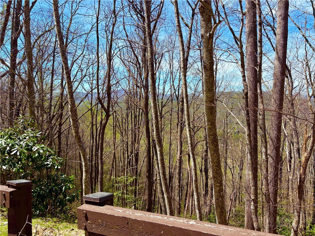 Lot #19 Evergreen Boone, NC 28607 - Photo 8 of 9