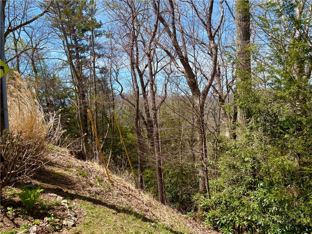 Lot #19 Evergreen Boone, NC 28607 - Photo 9 of 9