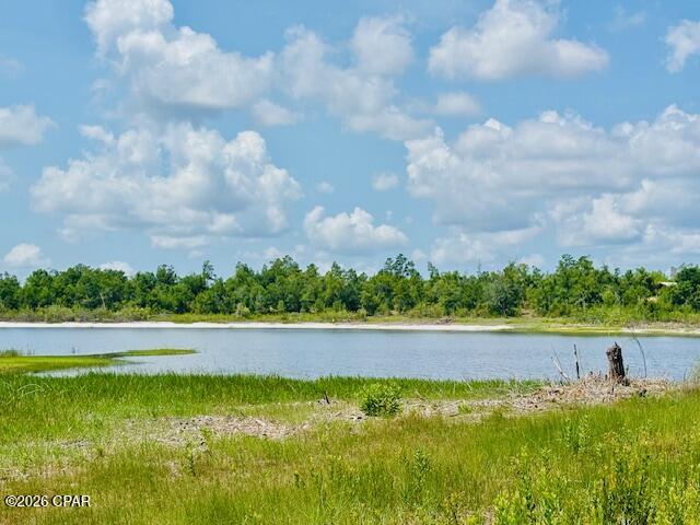 0 Lake Ridge Drive Chipley, FL 32428 - Photo 4 of 21