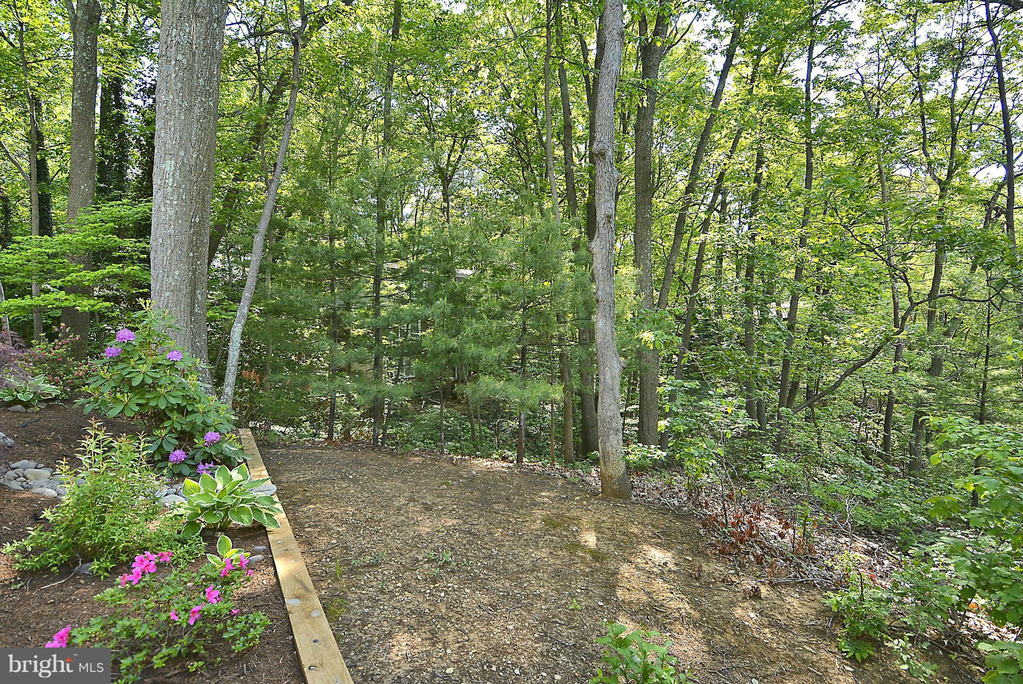 320 Halsey Road Annapolis, MD 21401 - Photo 5 of 29 Exterior (General)
