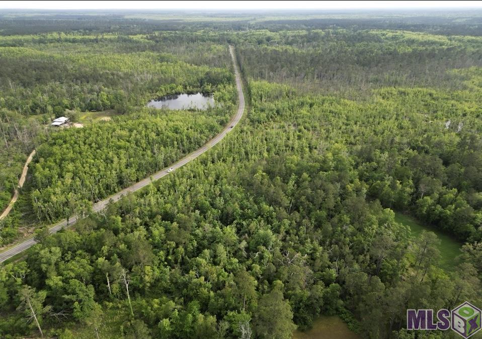 Tbd Blood River Road Springfield, LA 70462 - Photo 1 of 4 Gallery Image 1