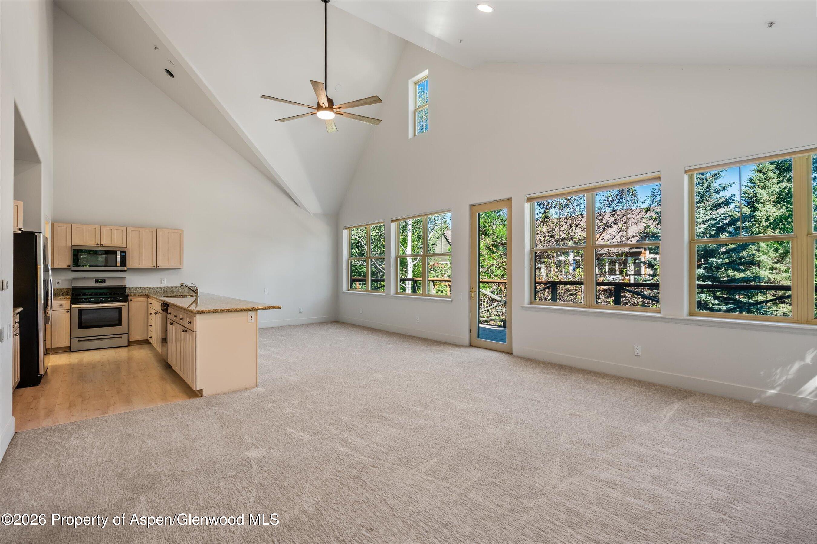 711 Evans Court Basalt, CO 81621 - Photo 4 of 31 17-711EvansCt_26061917