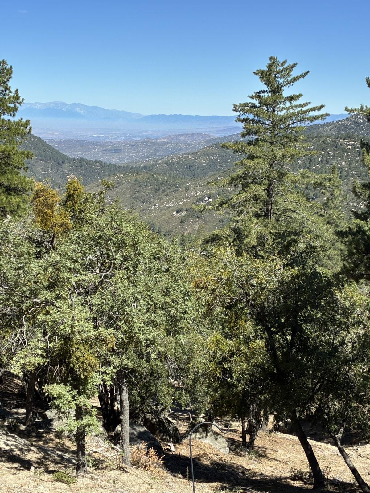 24930 Pine Cove Road Idyllwild, CA 92549 - Photo 6 of 25 Untitled