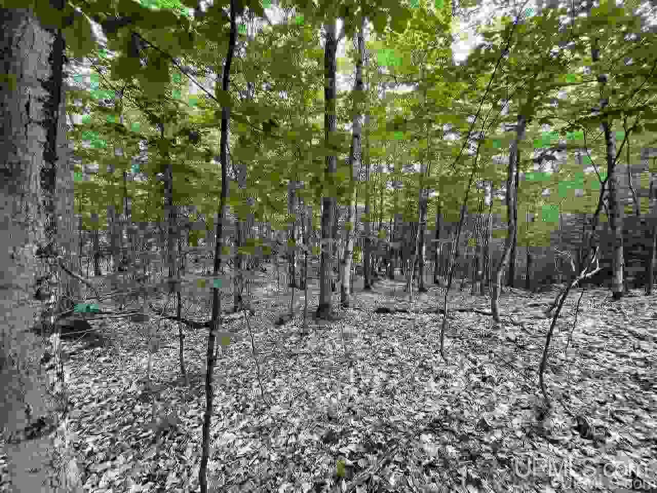 Tbd Tbd Corner Negaunee, MI 49866 - Photo 7 of 22 Gallery Image 7