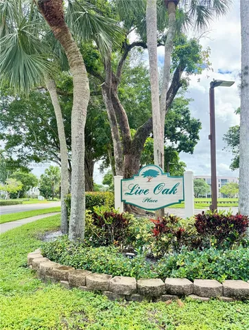a view of a garden with a tree