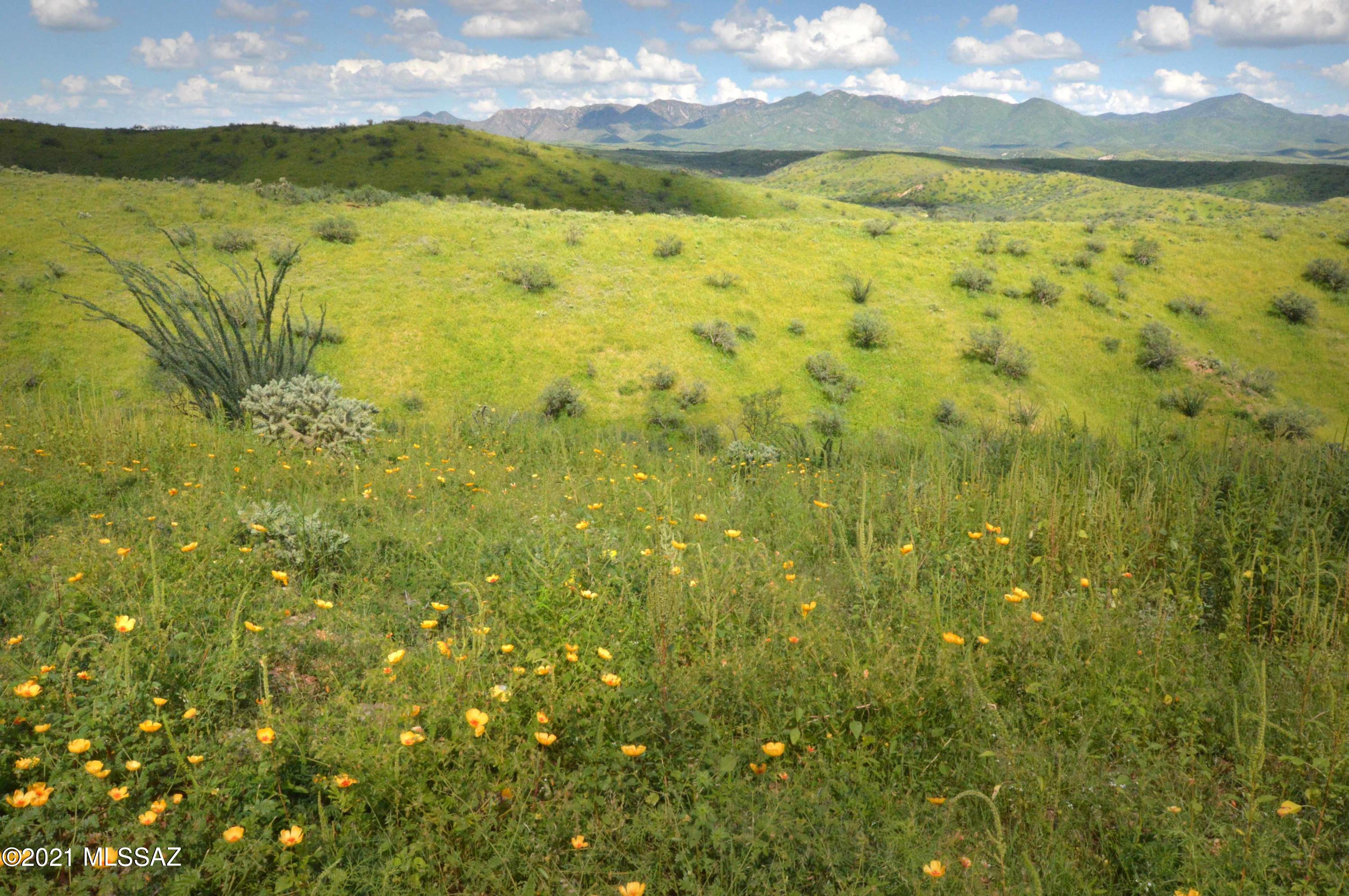 Tbd Sonoita Creek Ranch Road, Unit 86 Nogales, AZ 85621 - Photo 26 of 32