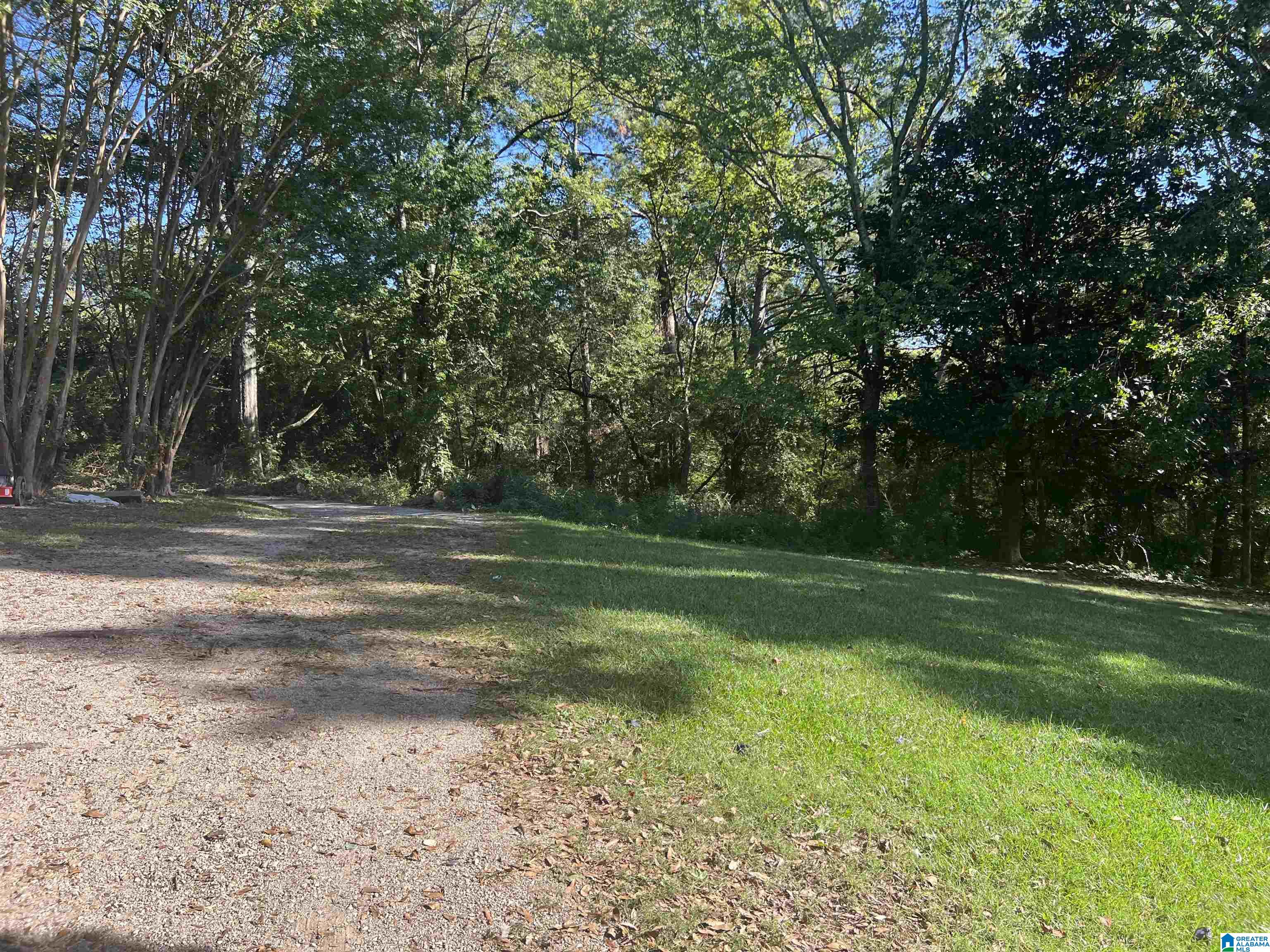 4175 Myrtle Avenue Anniston, AL 36206 - Photo 7 of 12