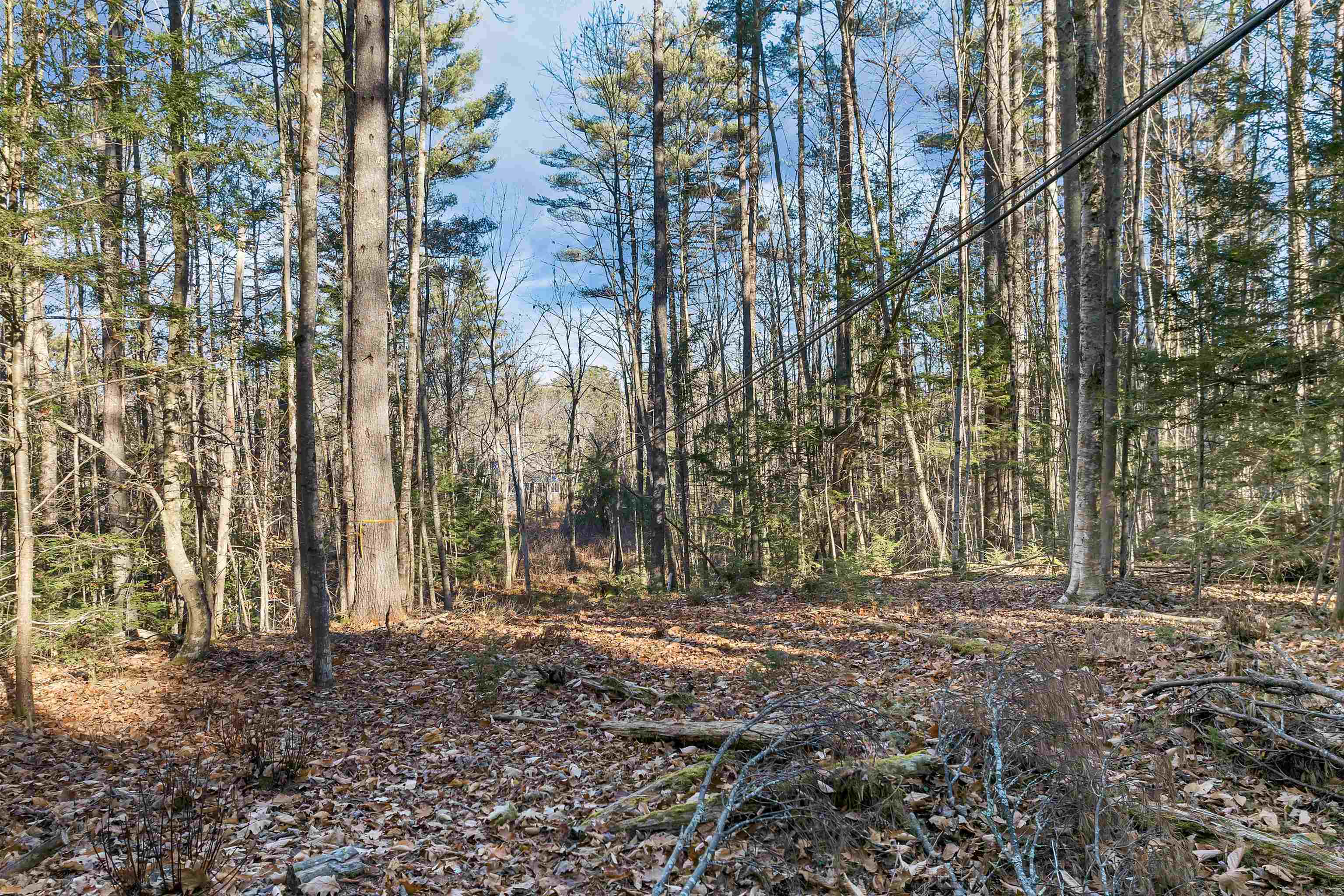 Camp Road, Unit 14 Wolfeboro, NH 03894 - Photo 16 of 17