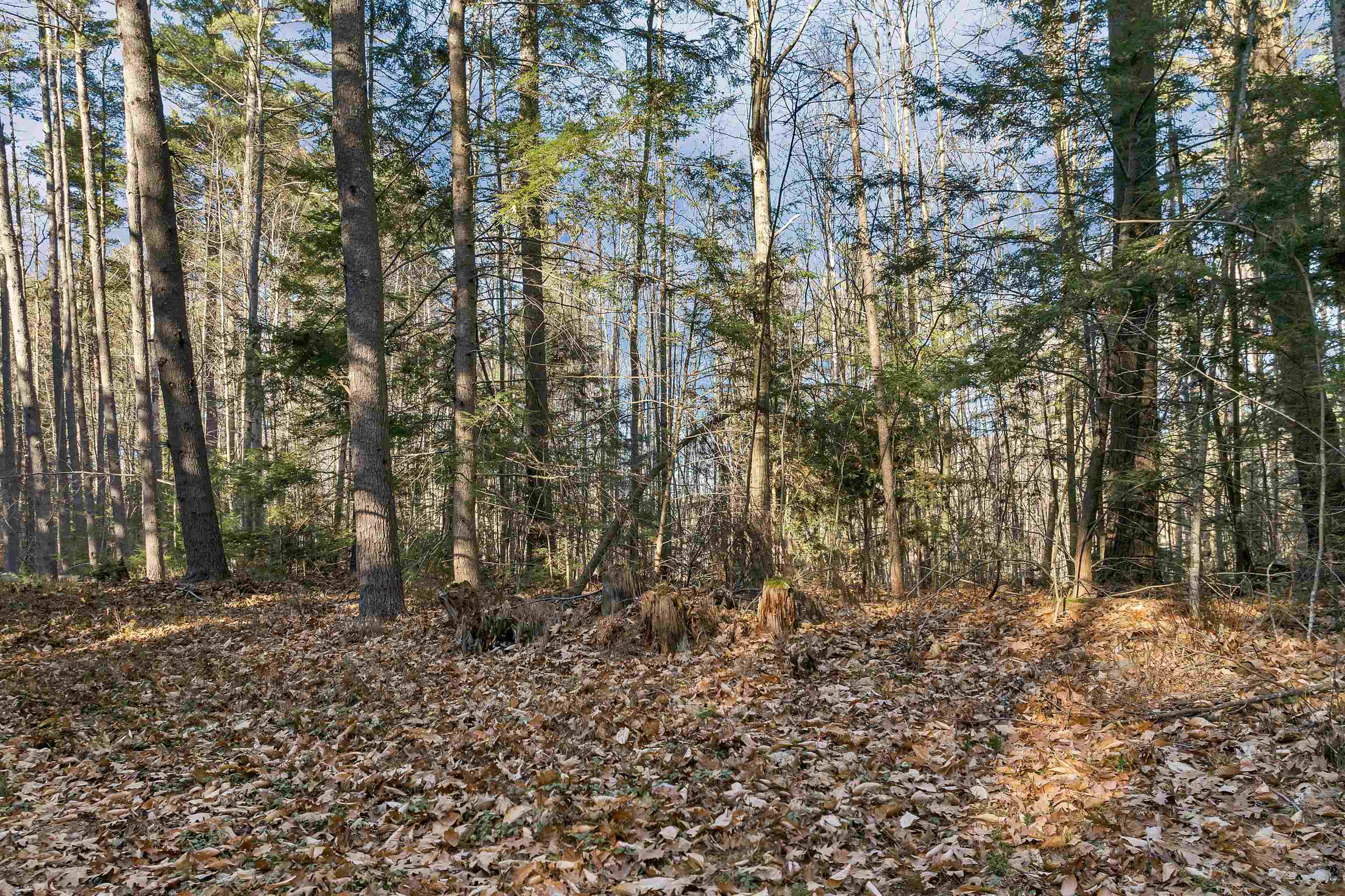 Camp Road, Unit 14 Wolfeboro, NH 03894 - Photo 2 of 17