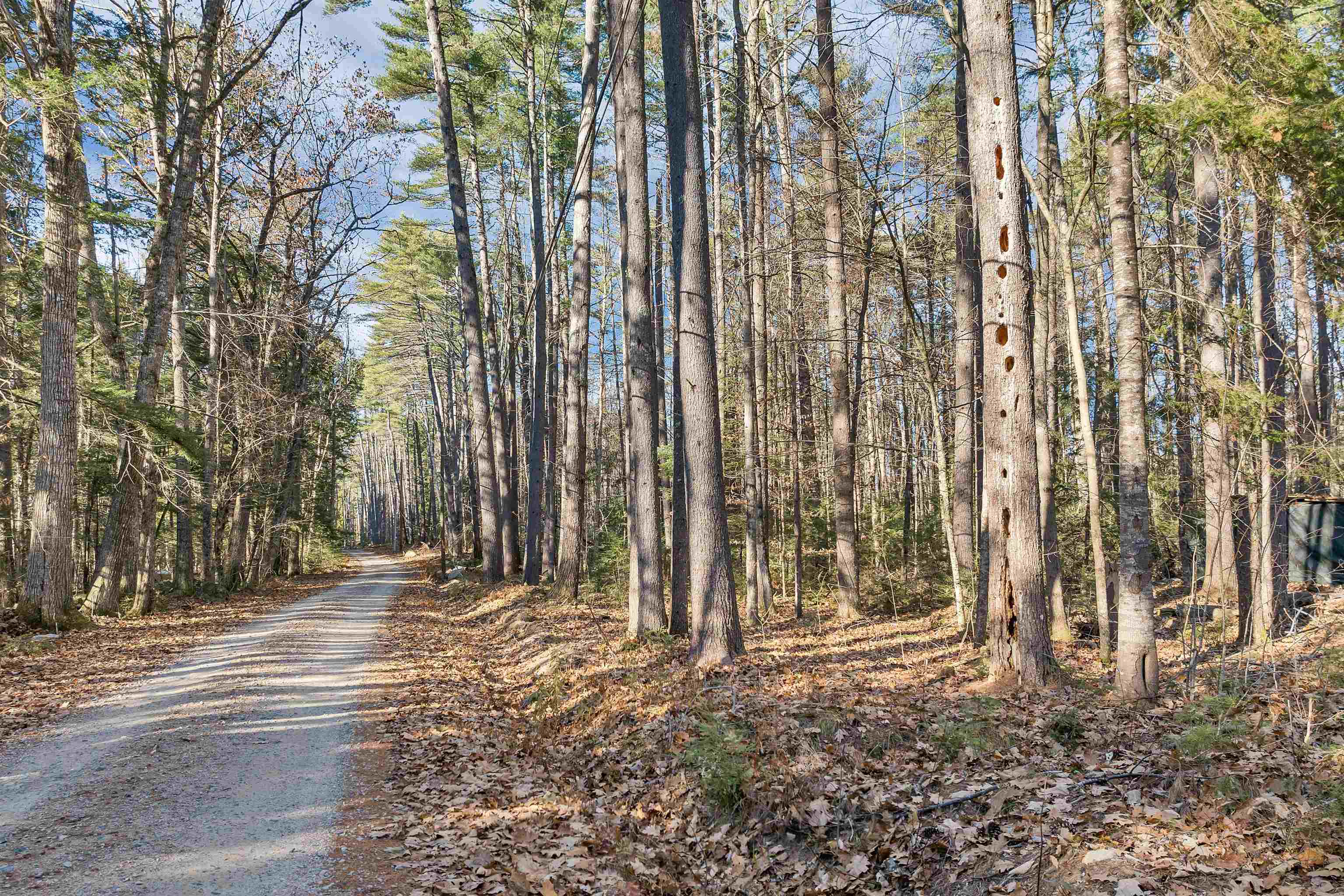 Camp Road, Unit 14 Wolfeboro, NH 03894 - Photo 5 of 17