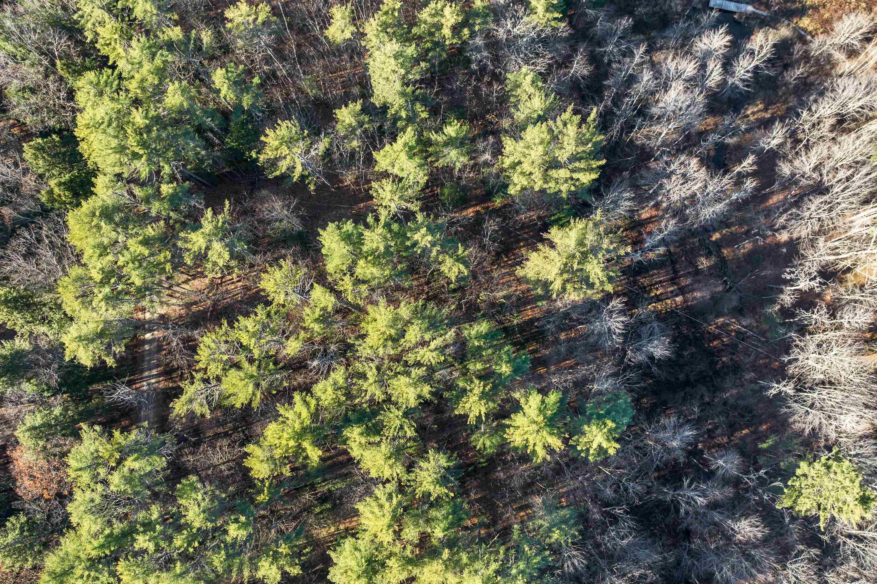 Camp Road, Unit 14 Wolfeboro, NH 03894 - Photo 9 of 17