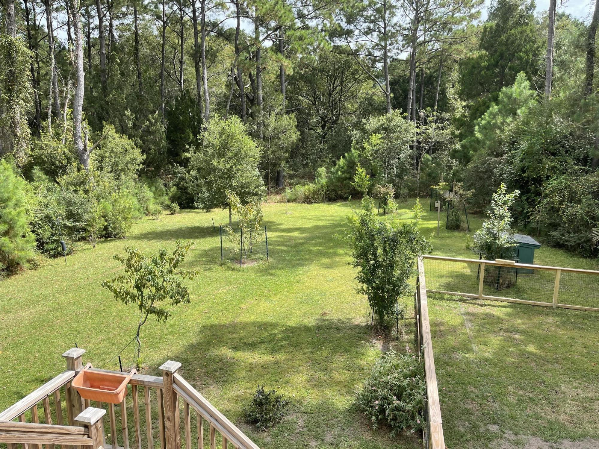 325 McClellan Avenue McClellanville, SC 29458 - Photo 45 of 122 IMG_1217