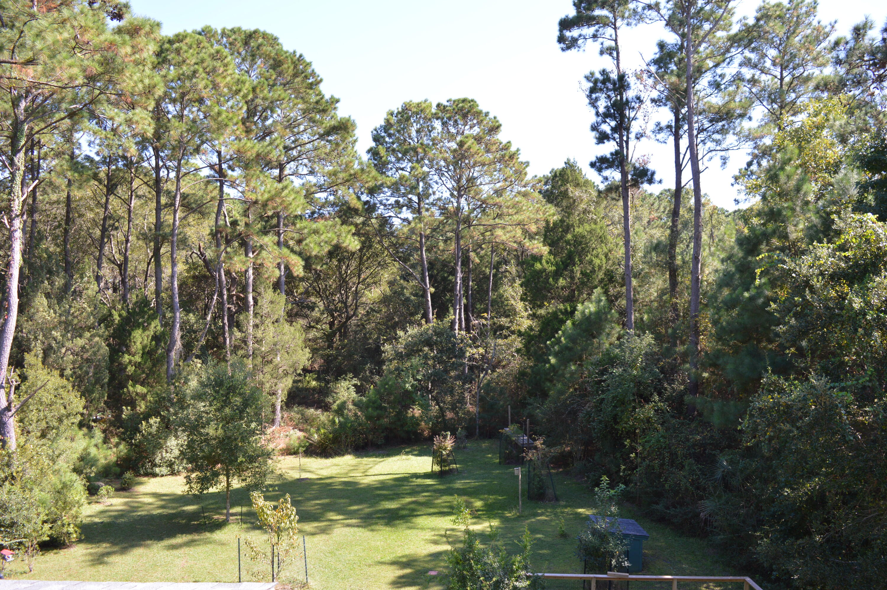 325 McClellan Avenue McClellanville, SC 29458 - Photo 51 of 122 DSC_0044