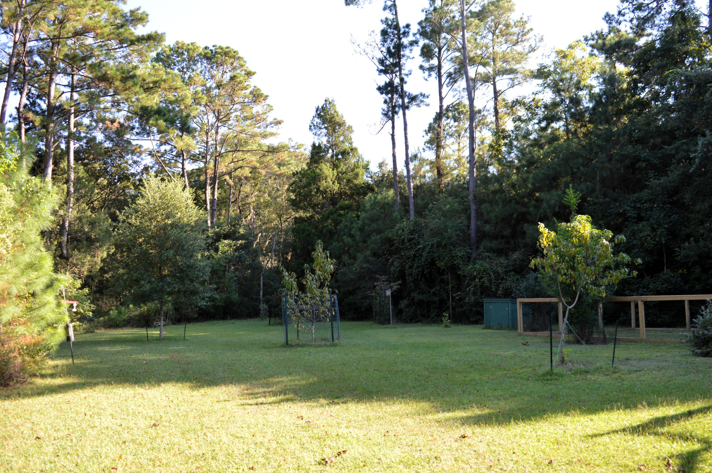 325 McClellan Avenue McClellanville, SC 29458 - Photo 52 of 122 DSC_0064
