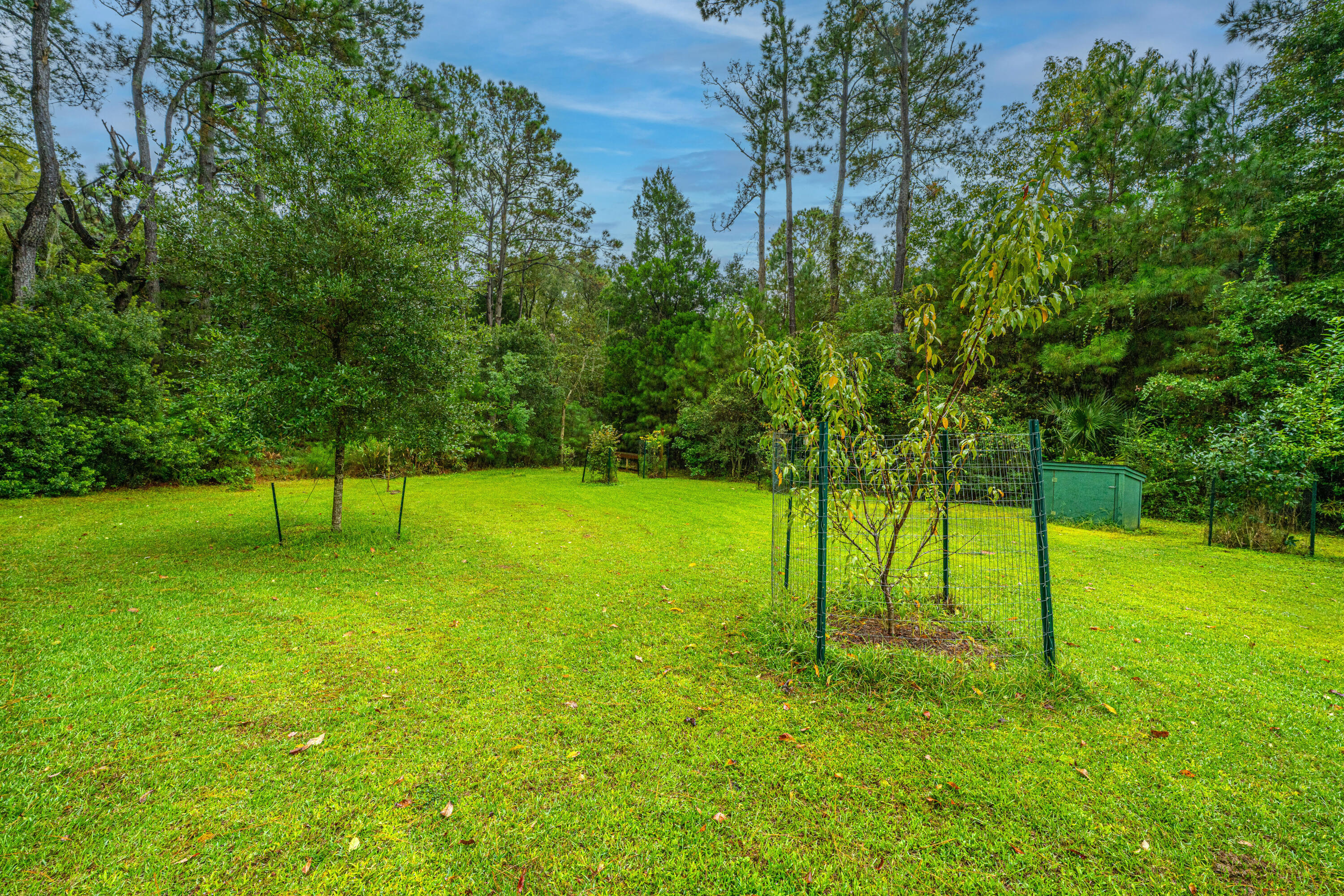 325 McClellan Avenue McClellanville, SC 29458 - Photo 54 of 122 325McClellanAve054
