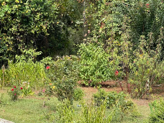 $760,000 | 325 McClellan Avenue, McClellanville, SC 29458