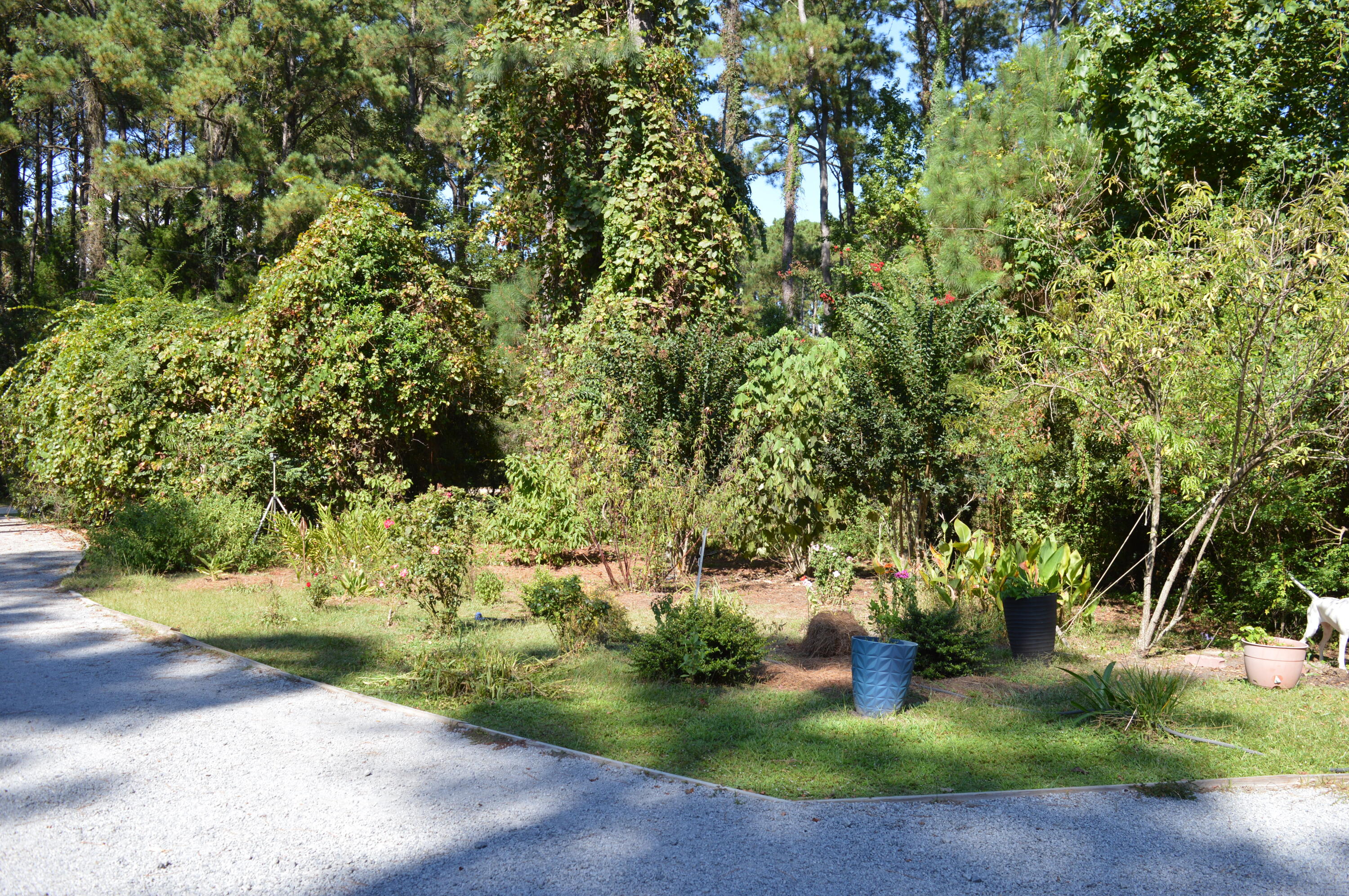 325 McClellan Avenue McClellanville, SC 29458 - Photo 57 of 122 DSC_0031