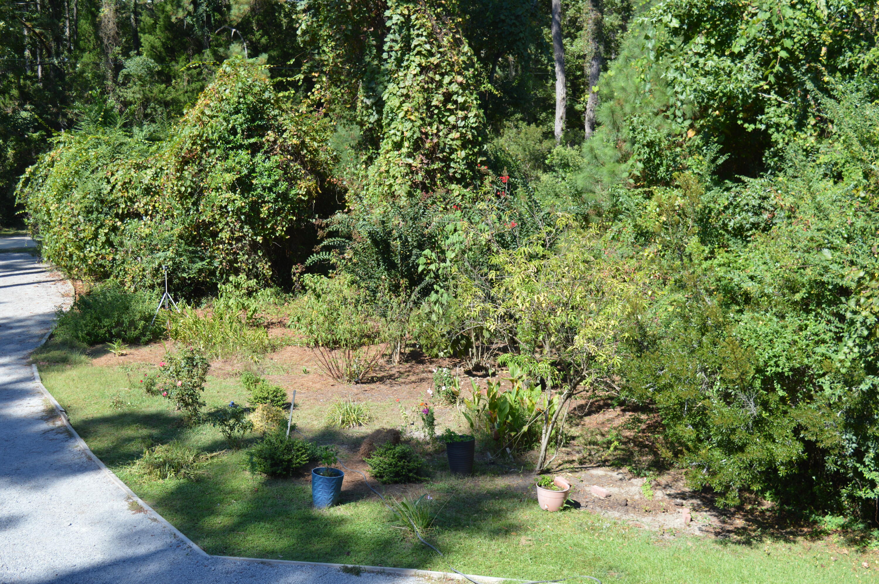 325 McClellan Avenue McClellanville, SC 29458 - Photo 6 of 122 DSC_0036