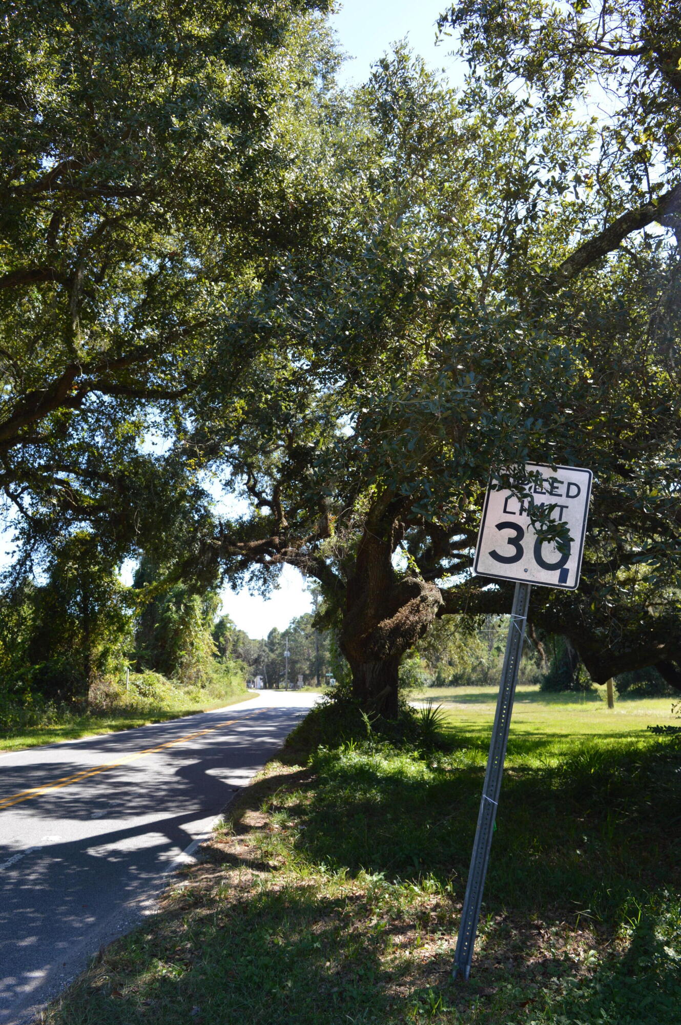 325 McClellan Avenue McClellanville, SC 29458 - Photo 61 of 122 DSC_0002