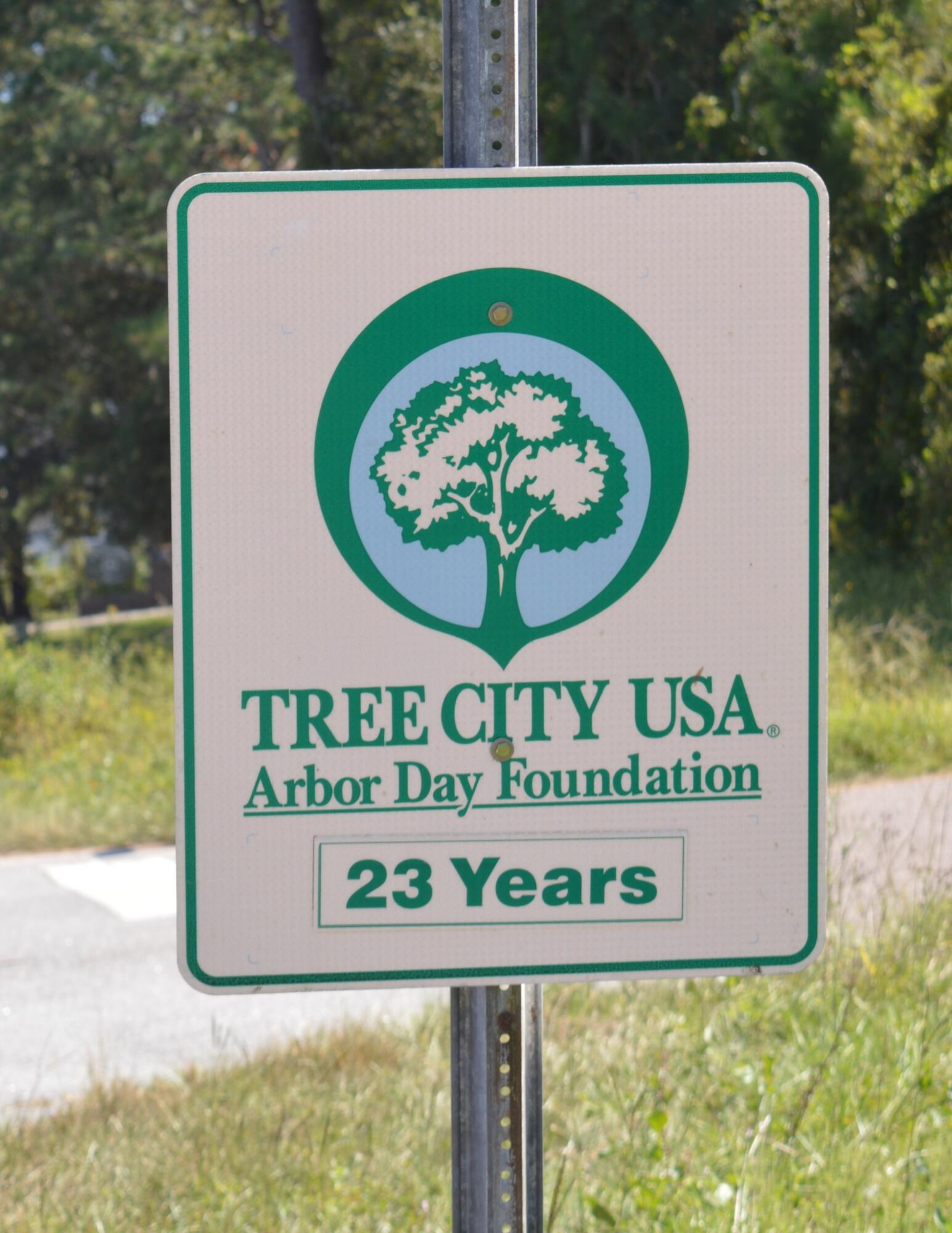 325 McClellan Avenue McClellanville, SC 29458 - Photo 63 of 122 DSC_0004