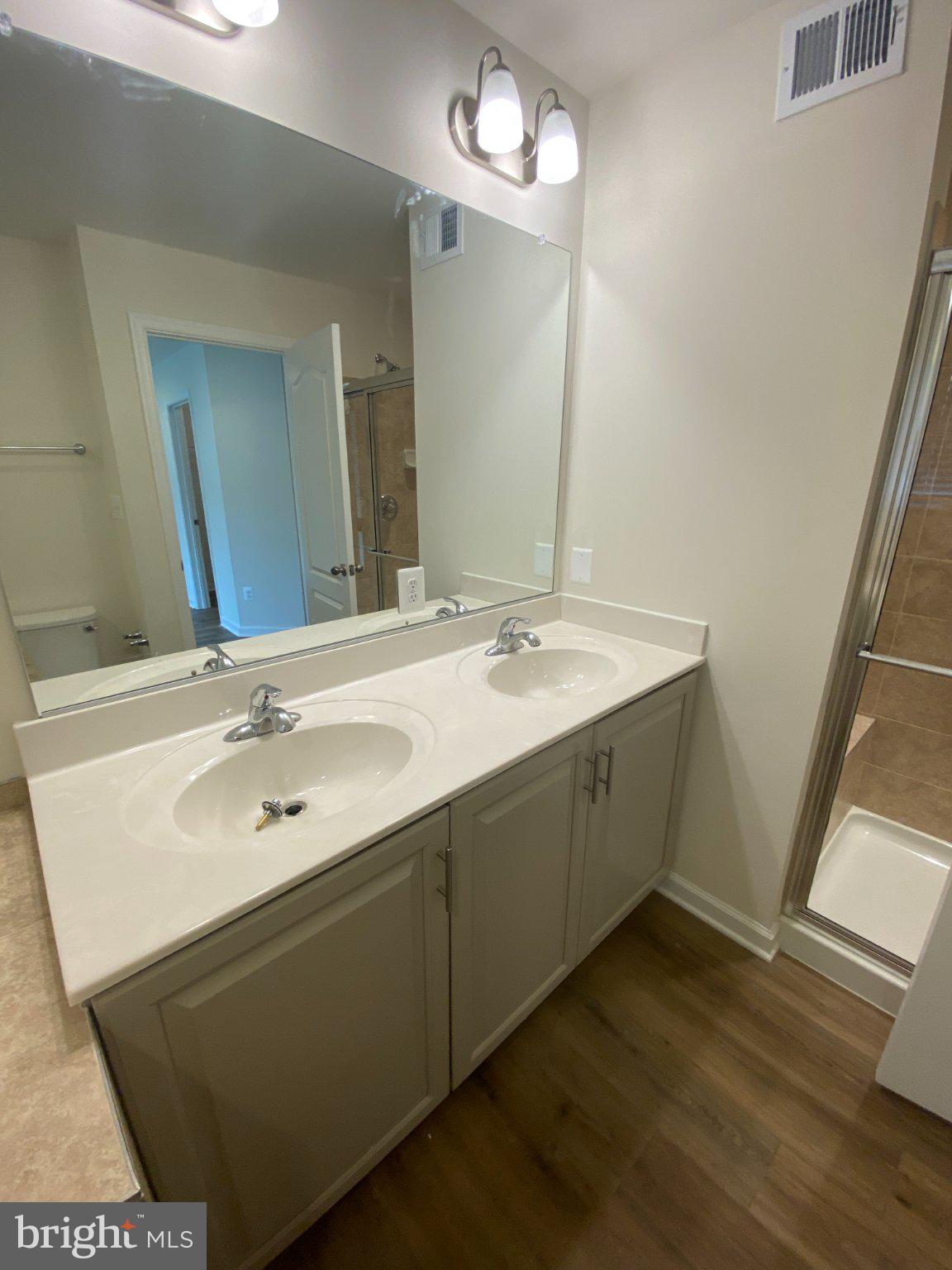 128 Tuxford Road Falling Waters, WV 25419 - Photo 16 of 27 Modern dual-sink bathroom oasis.