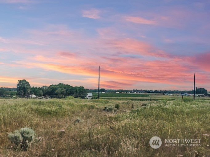 a view of a field with a big yard