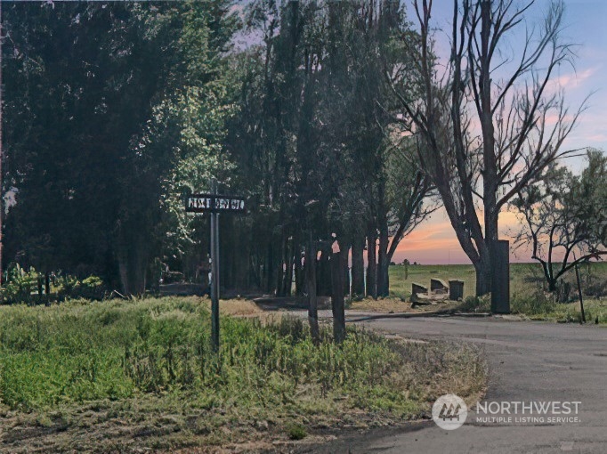 2997 Northeast D 9 Road Moses Lake, WA 98837 - Photo 3 of 4 a view of road with trees