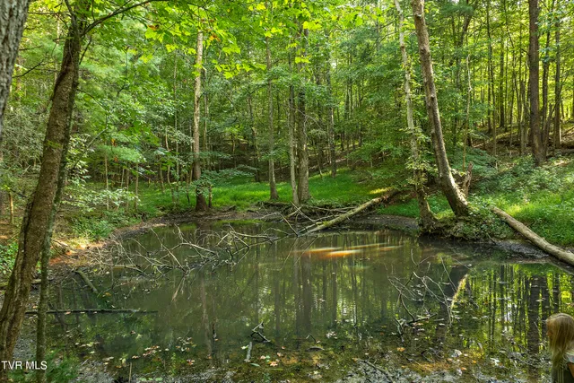 $1,800,000 | 131 Brown Drive, Chuckey, TN 37641