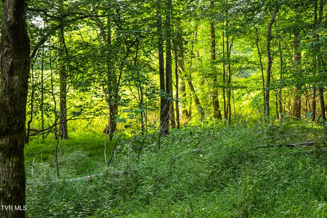 $1,800,000 | 131 Brown Drive, Chuckey, TN 37641