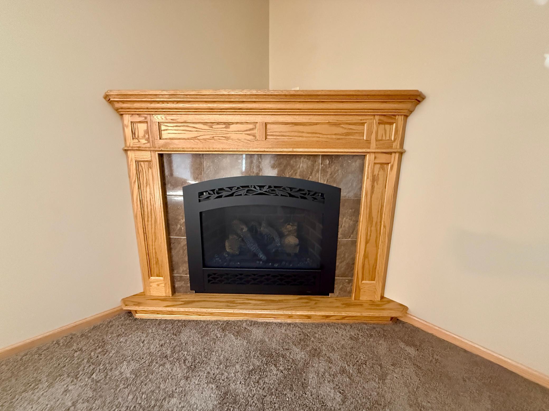 236 Wilson Street Alden, MN 56009 - Photo 4 of 38