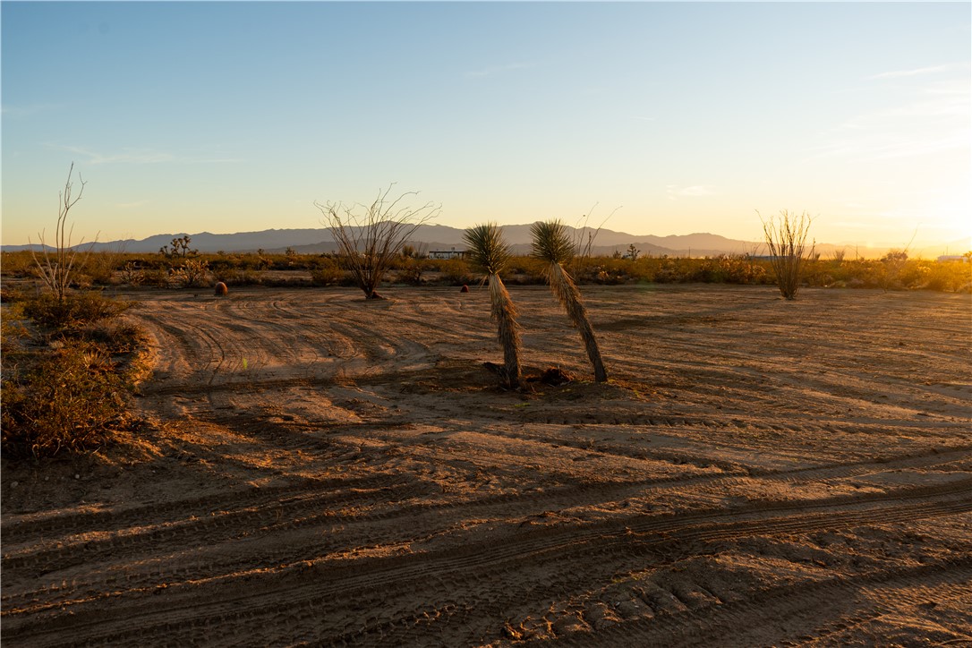 207-17-065 South Cameron Road Yucca, AZ 86438 - Photo 2 of 24