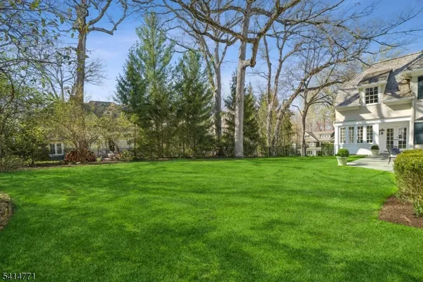 a view of a park with large trees