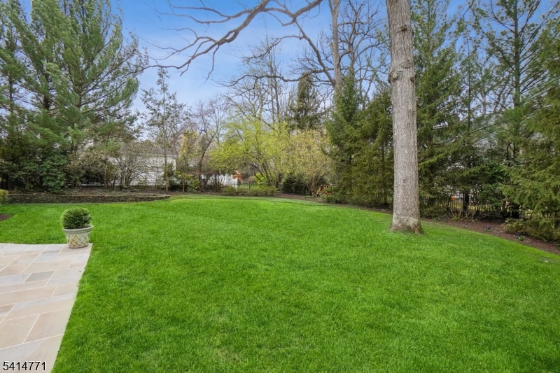 55 Oxbow Lane Summit, NJ 07901 - Photo 43 of 50 a view of a park with large trees