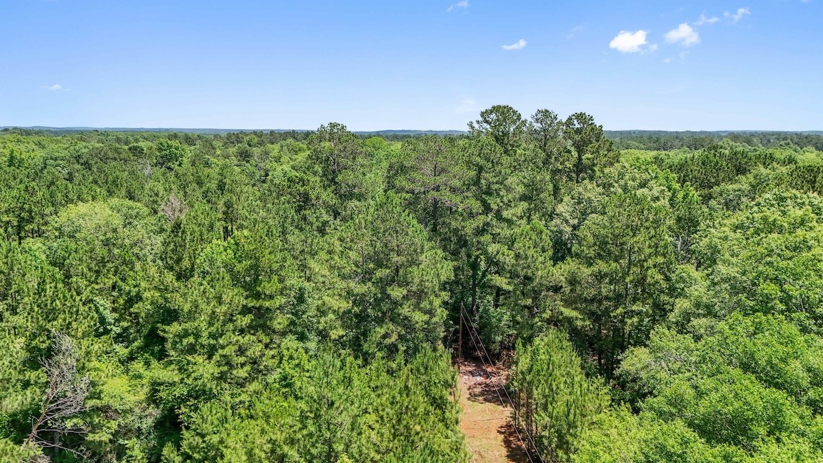 Tbd Hickman Road Burkeville, TX 75932 - Photo 11 of 45