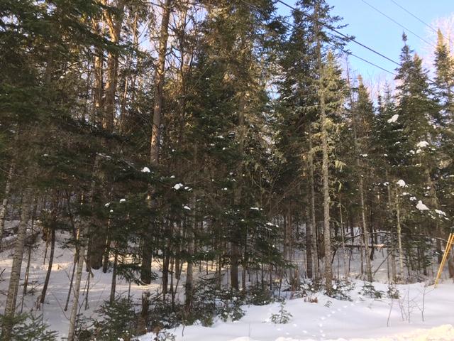 0 No Plow Road Stratton, ME 04982 - Photo 1 of 2 drummheller